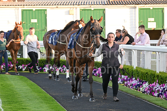 Gt_Yarm_Ladies Night_2025-154