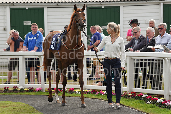 Gt_Yarm_Eastern_Fest_Day_3-24