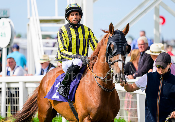 LBM_9273