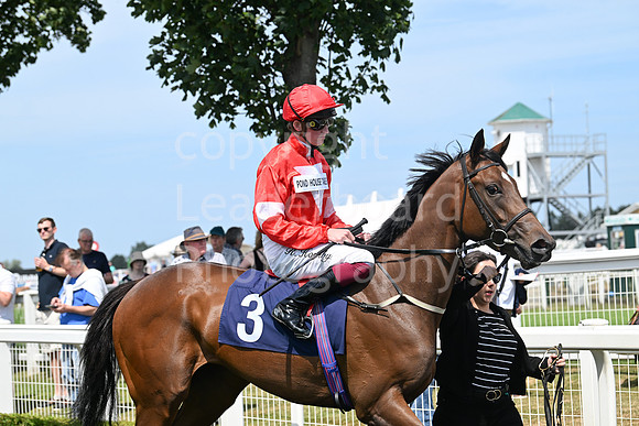 Gt_Yarm_Residents_Day_June_27-53