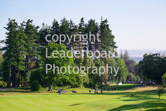 NZ9_3823