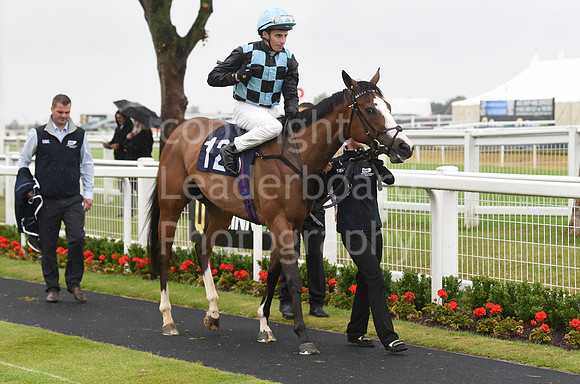 Gt_Yarm_30_June_2022-147