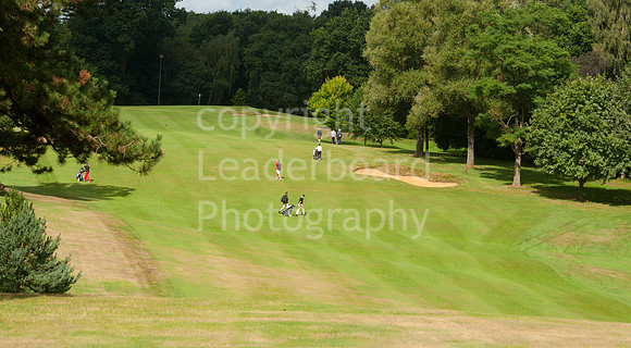 LB_Reid_2016_1485