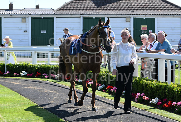 Gt_Yarm_July_30_2024-140