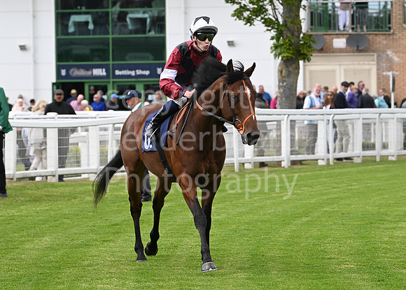 Gt_Yarm_May14_2025-159