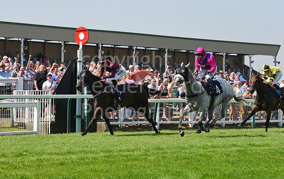 GY_Races_25_July-19