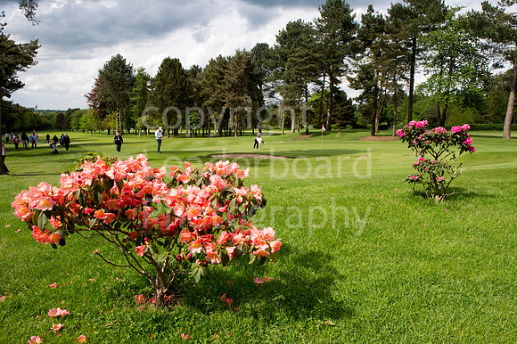LB_Senior_Women_Staffs_2017_3061