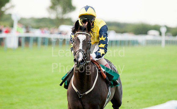 LB_JGYR_August_13_2014__135
