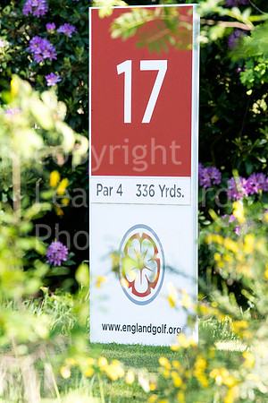 LB_Brabazon_2017_3230