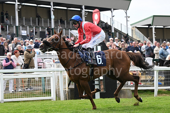 Gt_Yarm_May14_2025-118