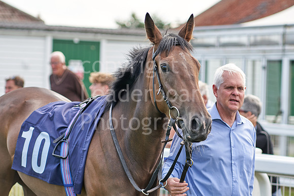Great Yarmouth  Race Six 11th Aug 2021 0440
