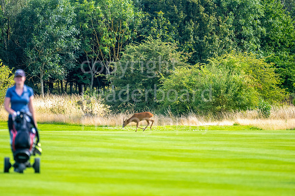 SAP_2023_English_Girls_Open_Caversham-17
