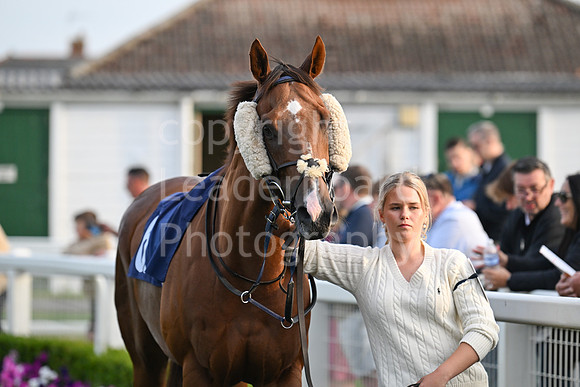 Gt_Yarm_6_Aug_2025-156