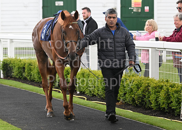 Gt_Yarm_May_22_2024-132