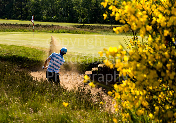 LB_Brabazon_2017_3171