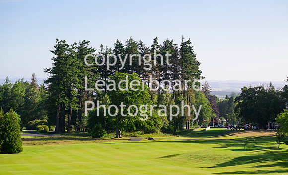 NZ9_3774