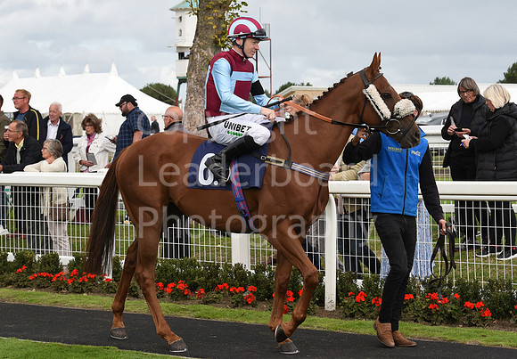 Gt_Yarm_15_Sept_2022-11