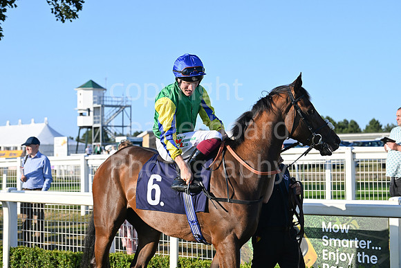 Gt_Yarm_Ladies Night_2025-88