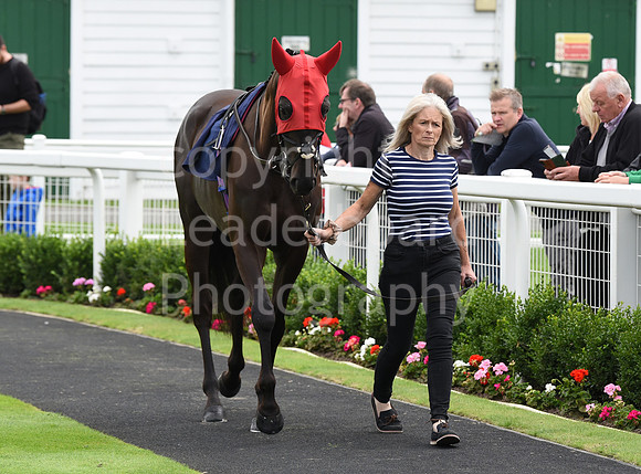 Gt_Yarm_1st_Aug_2023-1