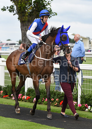 Gt_Yarm_1st_Aug_2023-10