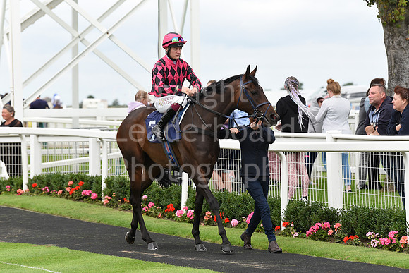 Gt_Yarm_1st_Aug_2023-13