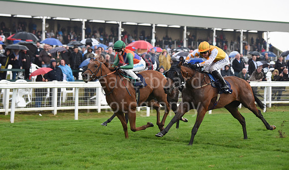 Gt_Yarm_Eastern_Fest_Day_1-178