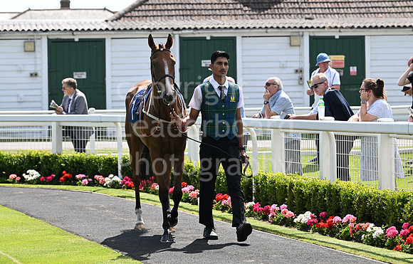Gt_Yarm_July_30_2024-48