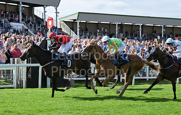 Gt_Yarm_25_Aug_Family_Raceday_2024-114