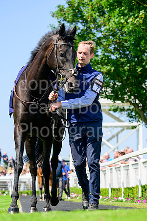 NZ9_0628