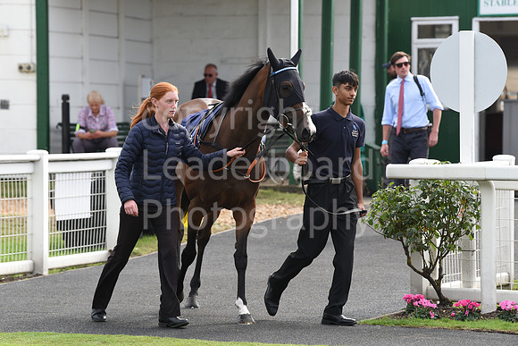 Gt_Yarm_Eastern_Fest_Day_3-26