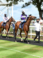 Gt_Yarmouth_Races_03_Aug2020-16