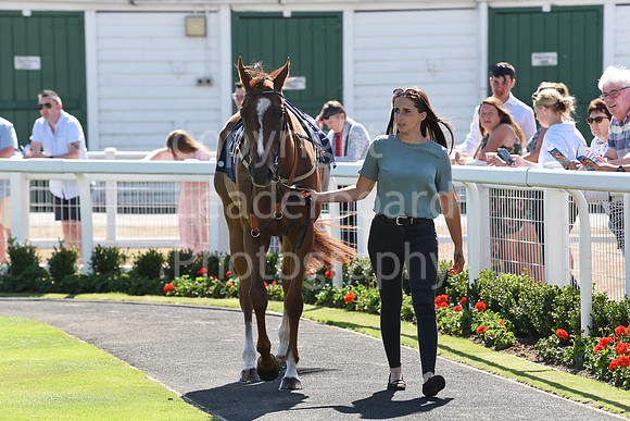 Gt_Yarm_Races_28_Aug_2022-1