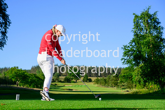 NZ9_3618