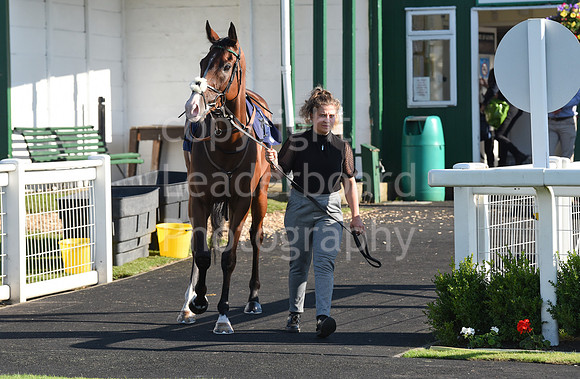 Gt_Yarm_Races_9_Aug_2023-2