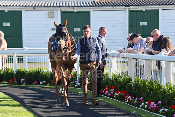 Gt_Yarm_Races_9_Aug_2023-1
