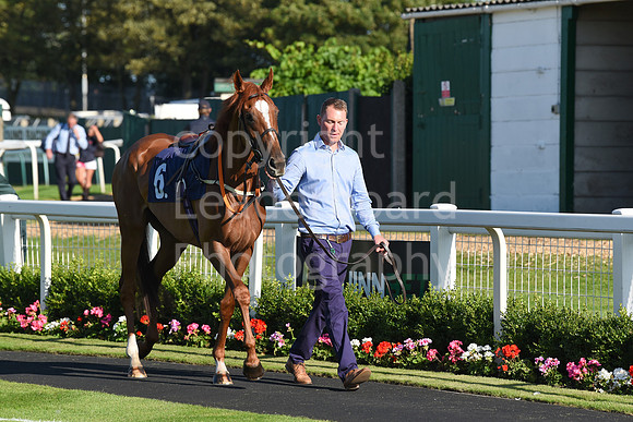 Gt_Yarm_Races_9_Aug_2023-3