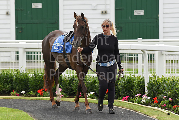 Gt_Yarm_Pony_Racing_10_Aug_2023-1