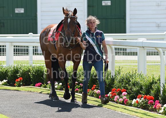 Gt_Yarm_Pony_Racing_10_Aug_2023-32