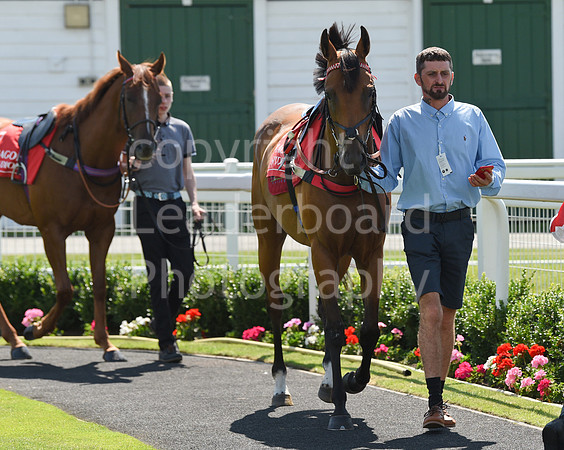 Gt_Yarm_Pony_Racing_10_Aug_2023-33