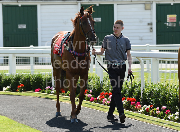 Gt_Yarm_Pony_Racing_10_Aug_2023-34