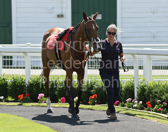 Gt_Yarm_Pony_Racing_10_Aug_2023-35