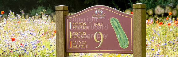 LB_Womens_Stroke_Play_2016_2152