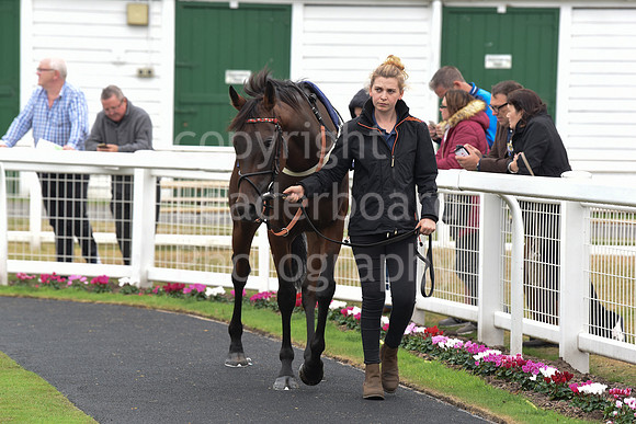 Gt_Yarm_Eastern_Fest_Day_1-74