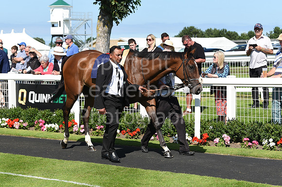 Gt_Yarm_Racing_10_Aug_2023-29