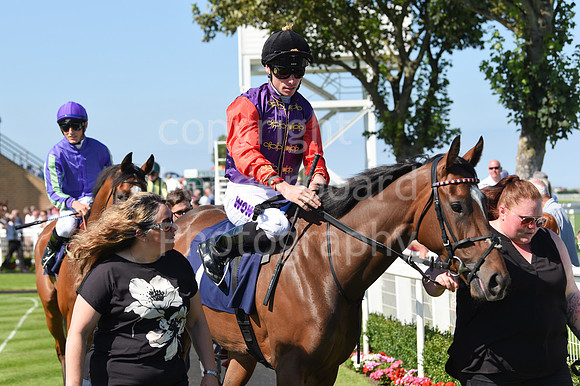 Gt_Yarm_Racing_10_Aug_2023-35