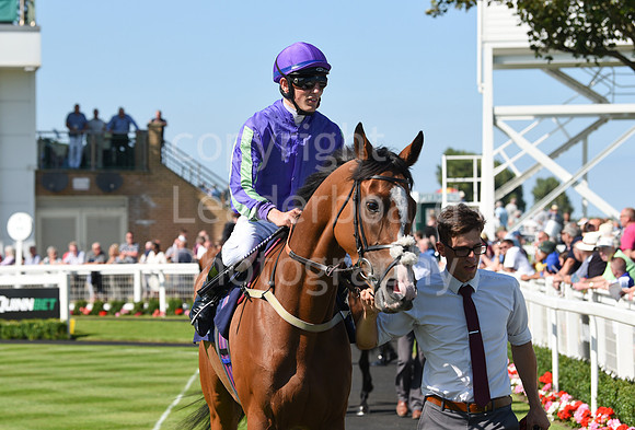 Gt_Yarm_Racing_10_Aug_2023-36