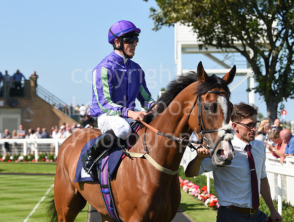 Gt_Yarm_Racing_10_Aug_2023-37