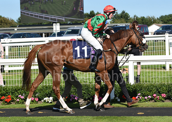 Gt_Yarm_Racing_10_Aug_2023-62