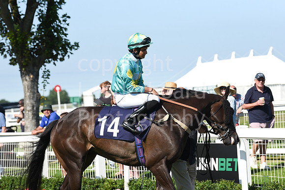 Gt_Yarm_Racing_10_Aug_2023-66