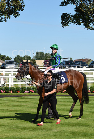 Gt_Yarm_Racing_10_Aug_2023-91